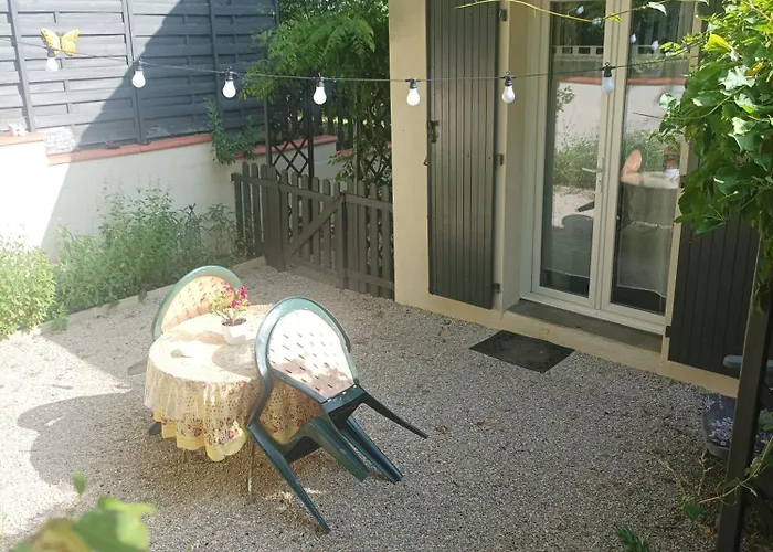 Le nid de mésanges